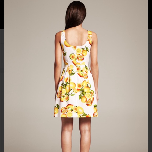 Banana Republic | Lemon print dress - Picture 3 of 7